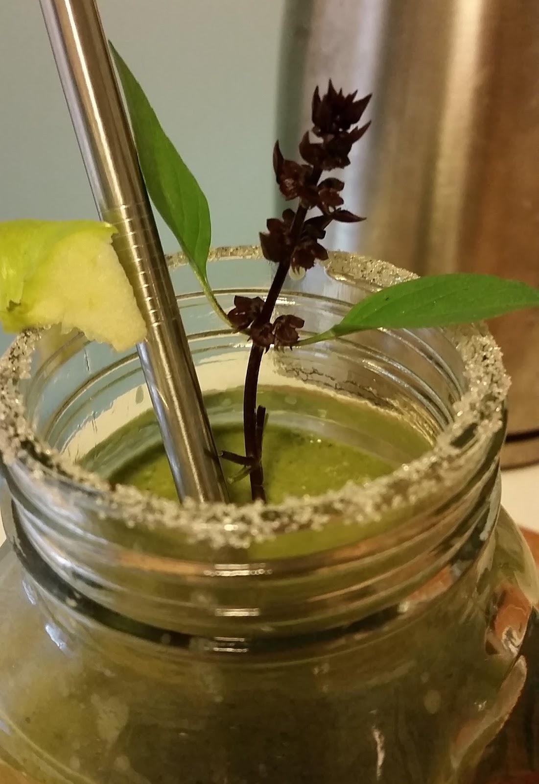 Love Plants for Life