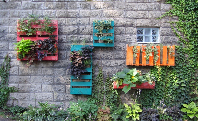 Wooden Pallet Garden Ideas