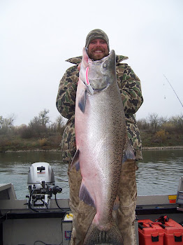 A LATE FALL KING SALMON.  48 Pound King salmon.
