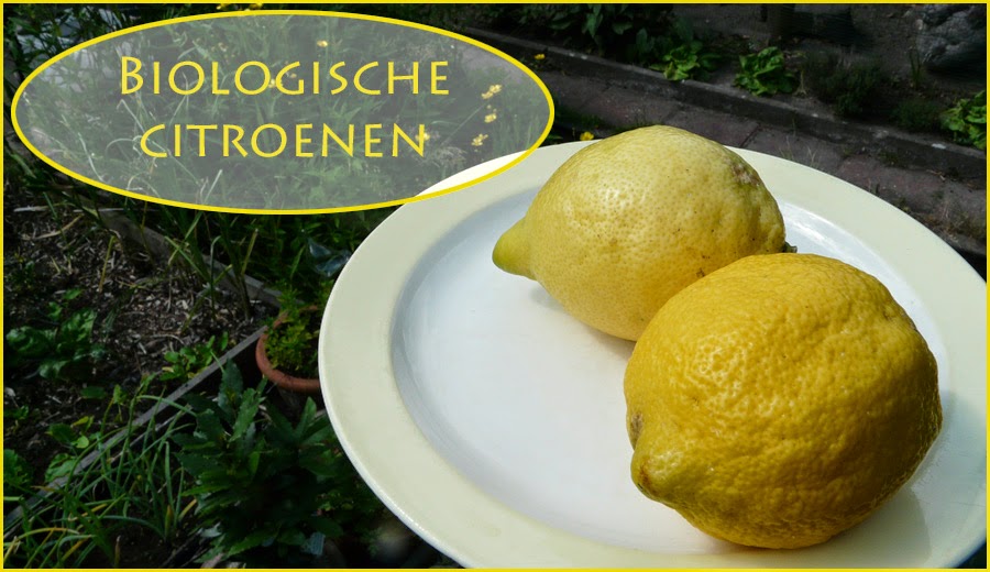 wat te doen met citroen