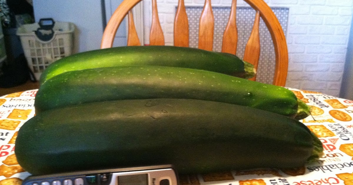 Ingredients for Life Zucchini Candy