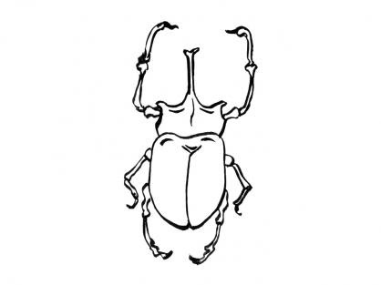 45+ Planse De Colorat Insecte Pictures