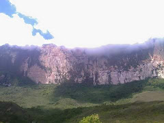 Viaje a Roraima