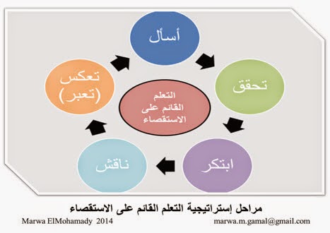 استراتيجية الإستقصاء