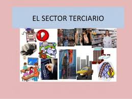El sector terciario: servicios para nuestro bienestar