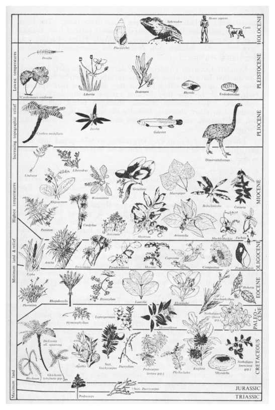 The fossil record is hard to