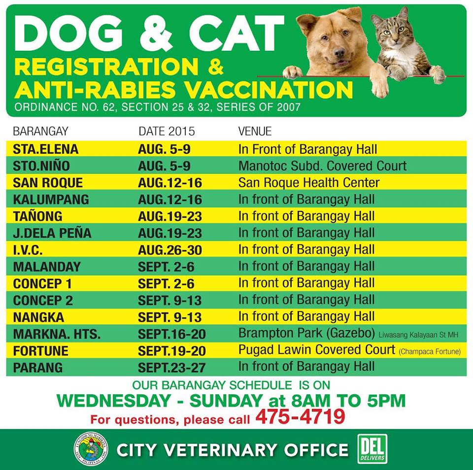 Humane Society International's rabies vaccination program in Payatas