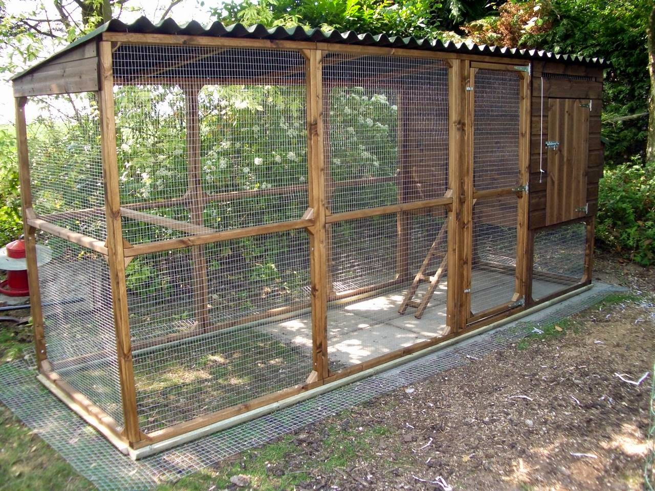 more infomation about chicken coop need infomation about chicken coop