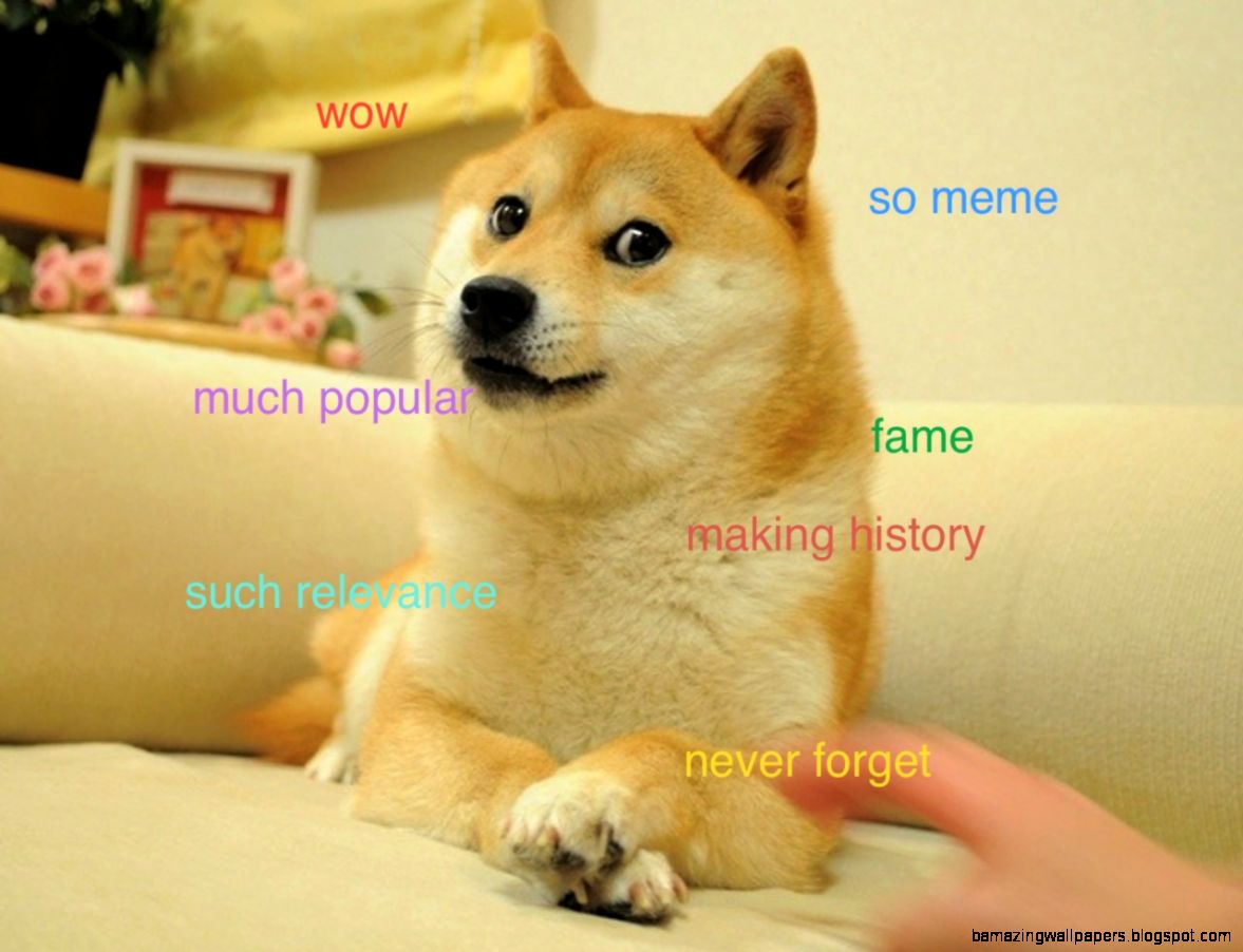 Understand the quotDogequot Meme In 7 Short Steps The Barkpost Understand the quotDogequot Meme In 7 Short Steps The Barkpost