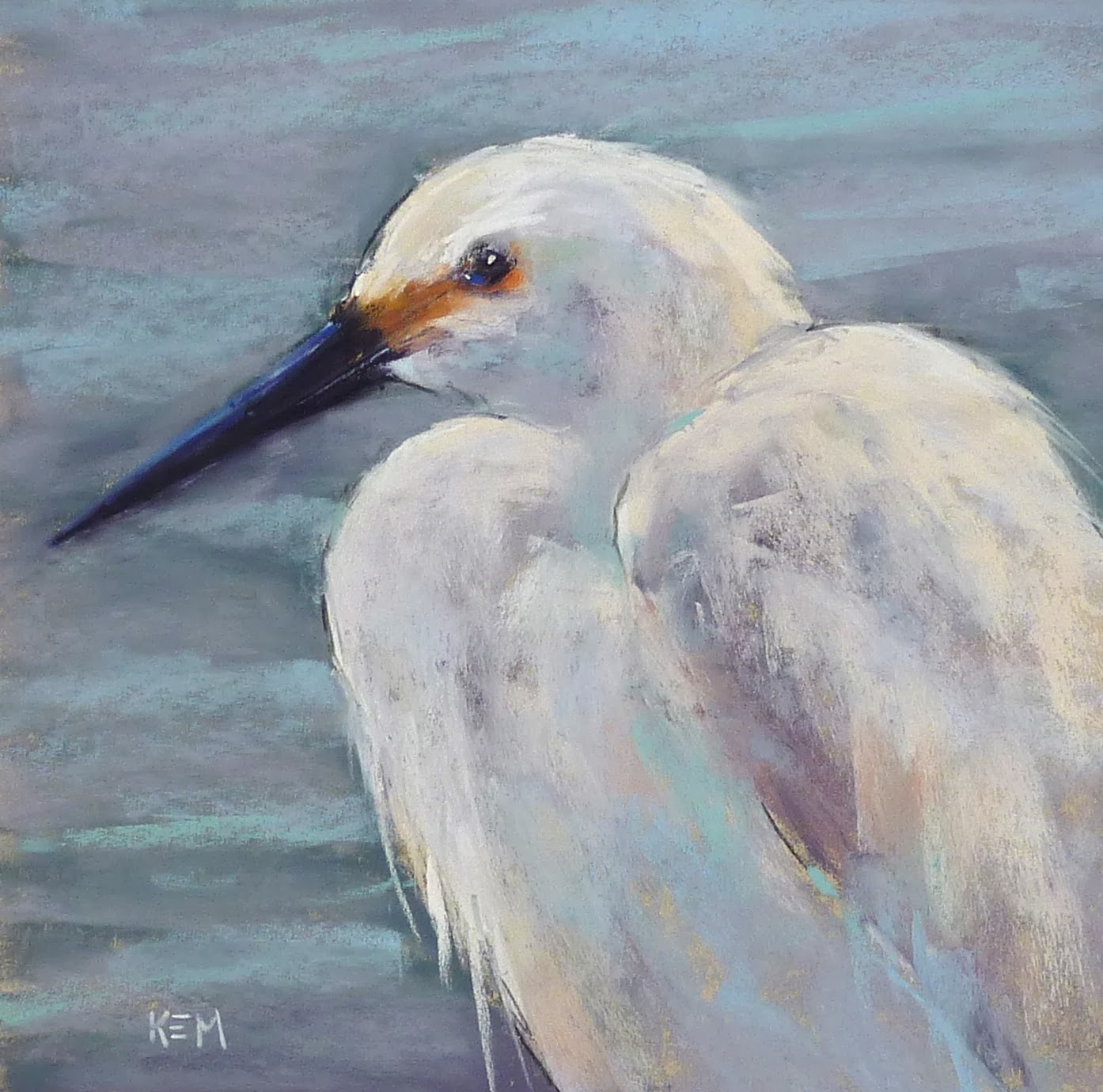 Painting My World How to Paint a Bird with 25 Pastels