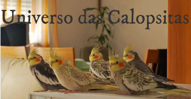 Universo das Calopsitas