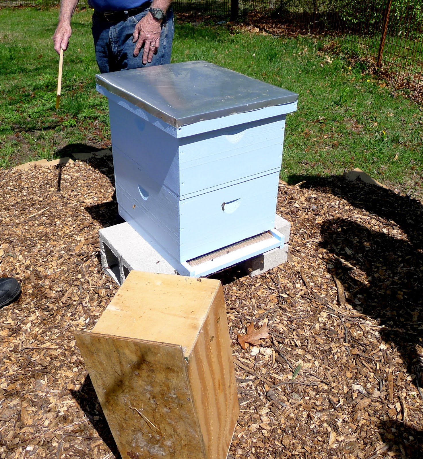 Installing a nuc of bees, master gardeners, urban farming
