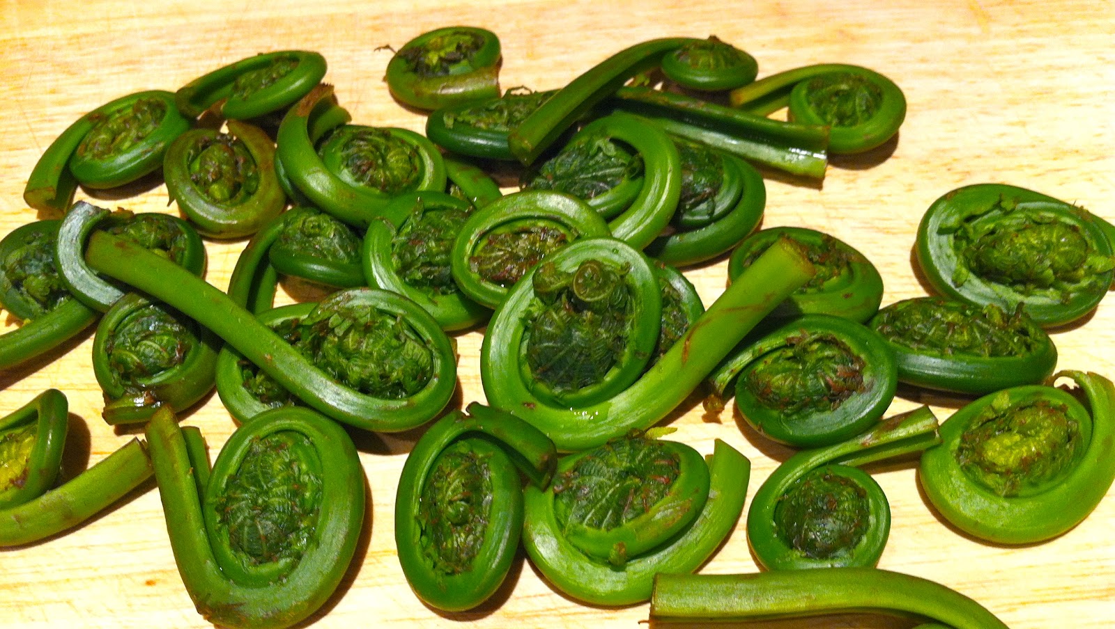 Reflections from Bella Cucina Maria: Fiddling with Fiddlehead Ferns