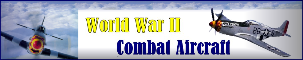 World War II Combat Aircraft