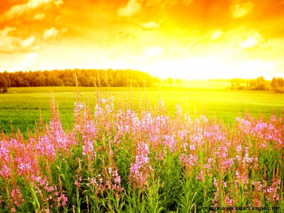 Beauty of nature Daydreaming Wallpaper 22571815 Fanpop Beauty of nature Daydreaming Wallpaper 22571815 Fanpop
