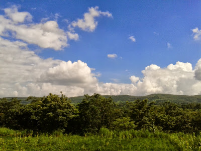 aakash patil, mimarathiap ,3d.patilaakash, narewadi, nature 