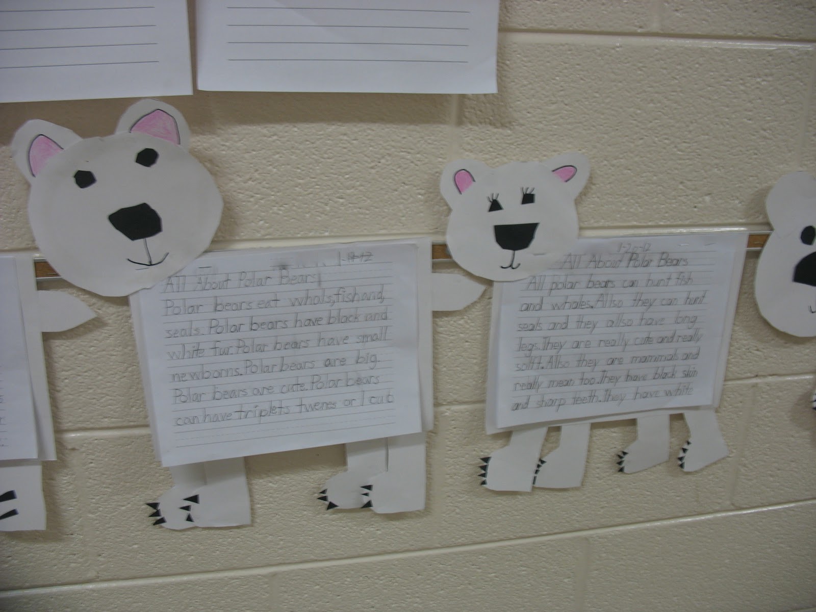 Cause and Effect, Polar Bears and freebies for you Swimming Into Second