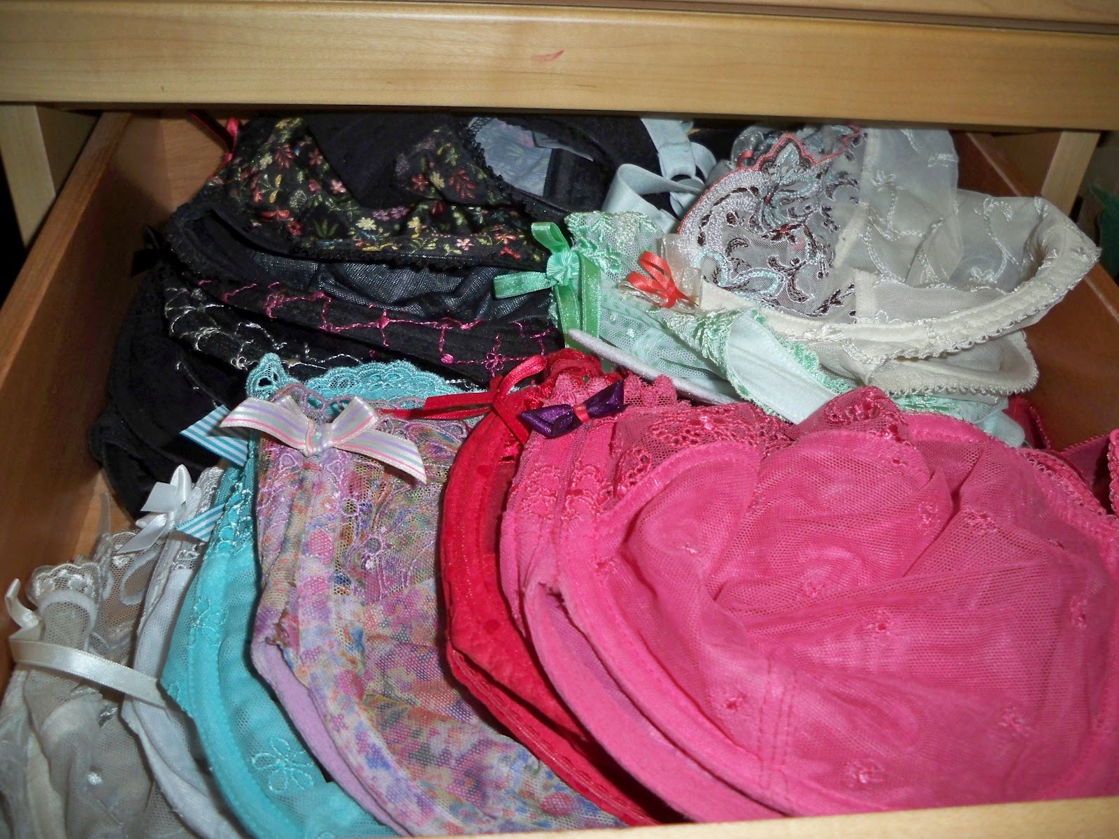 Boosaurus! Bra Storage Methods