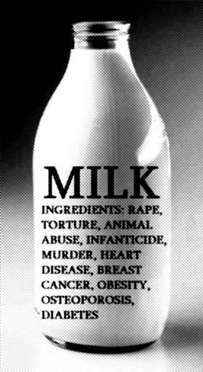 vegan for a reason not your mum not your milk vegan for a reason not your mum not your milk