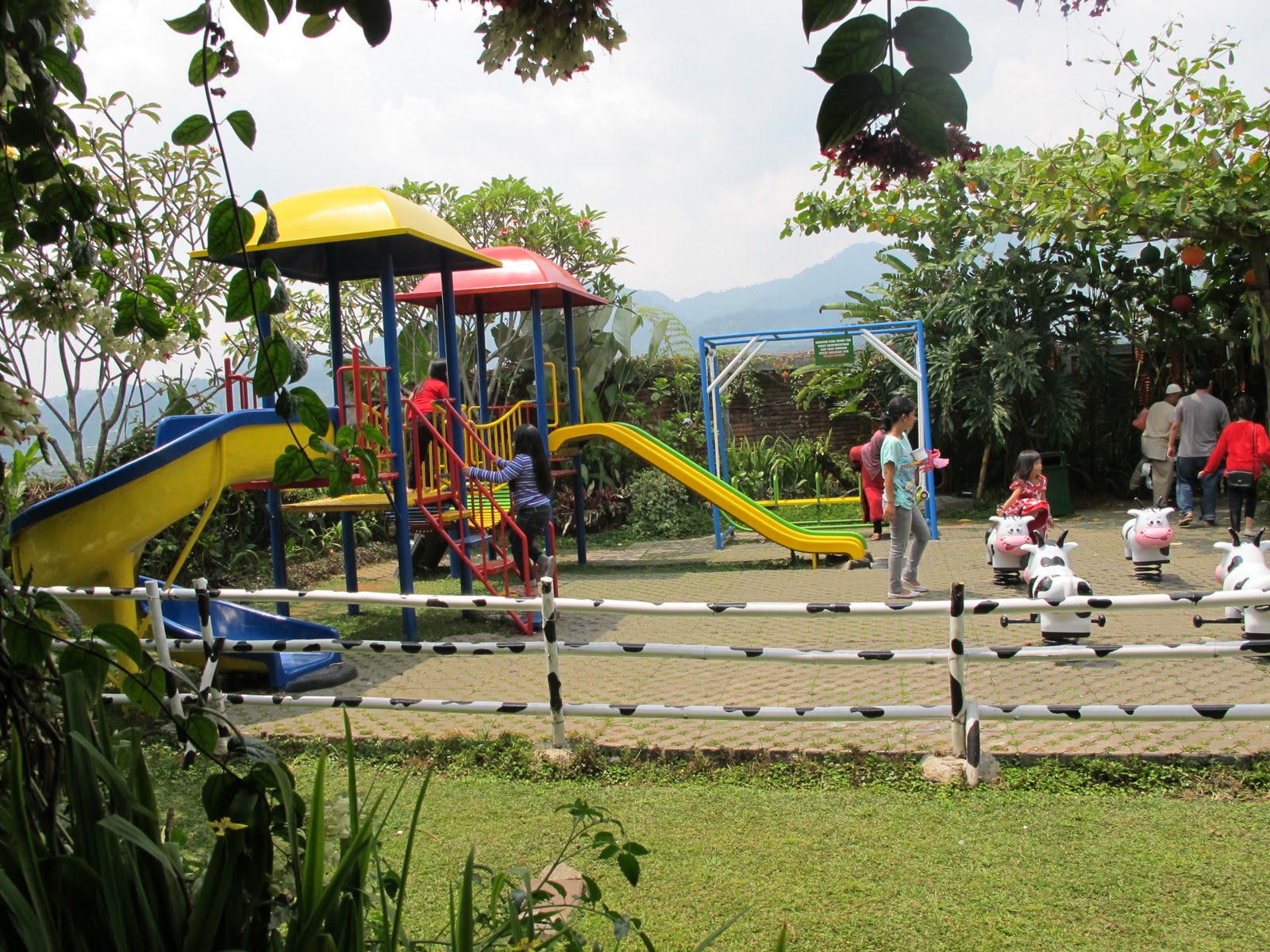 Cimory Puncak
