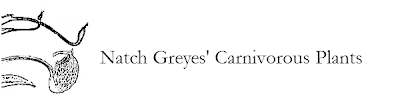 Natch Greyes' Carnivorous Plants