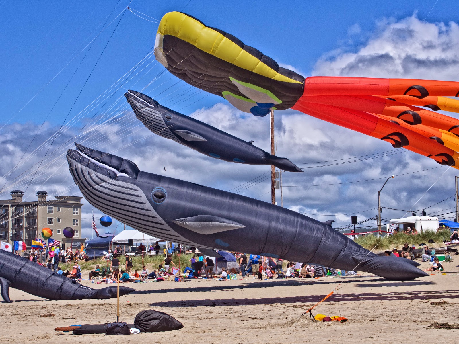 Thom Zehrfeld Photography Lincoln City Kite Festival 2014