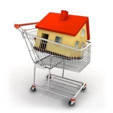 House Shopping Cart