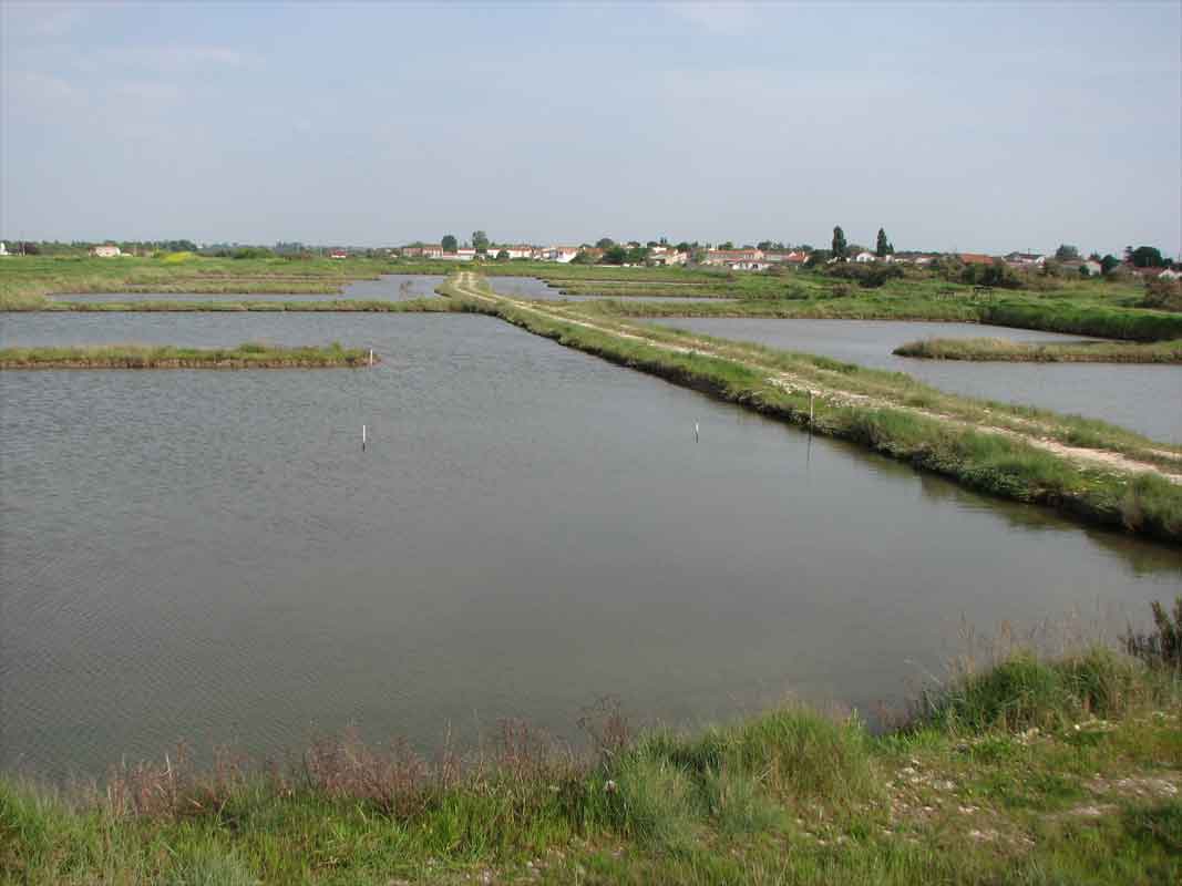 rencontres vert avril bourg la reine