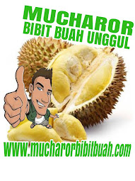 Alamat MUCHAROR BIBIT BUAH UNGGUL