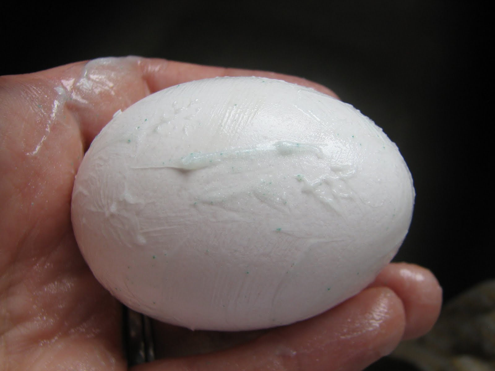 Science Matters The Importance of Brushing Your Teeth Part I