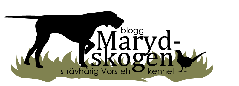 Marydskogen