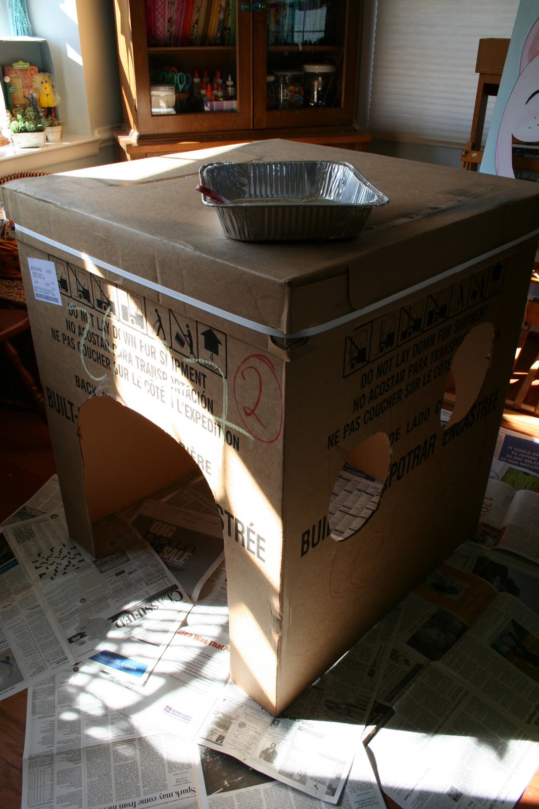 Cardboard Box Cat