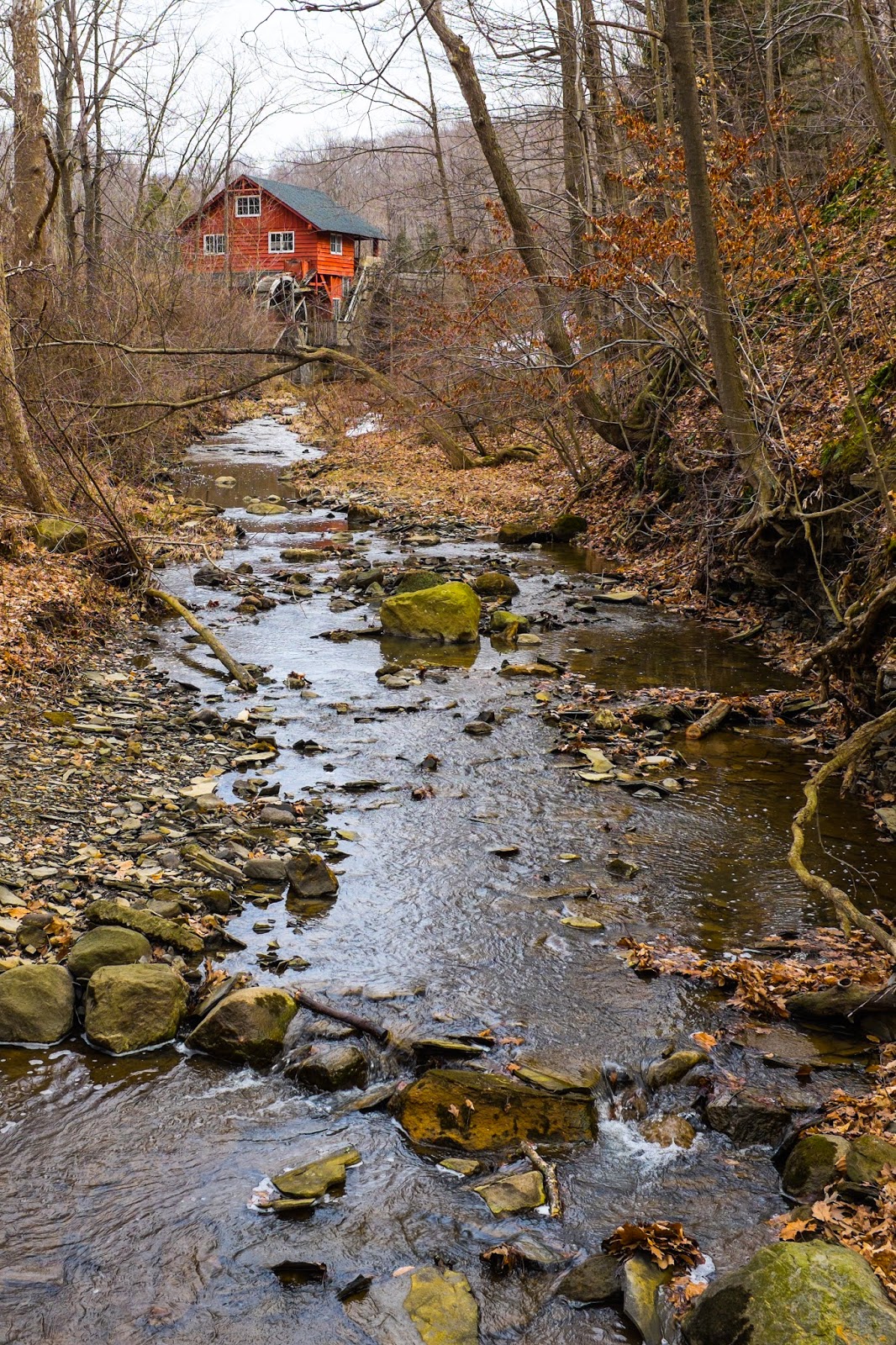 Dan's Photo Blog HDR Photos from Hinckley Lake, Hinckley, OH