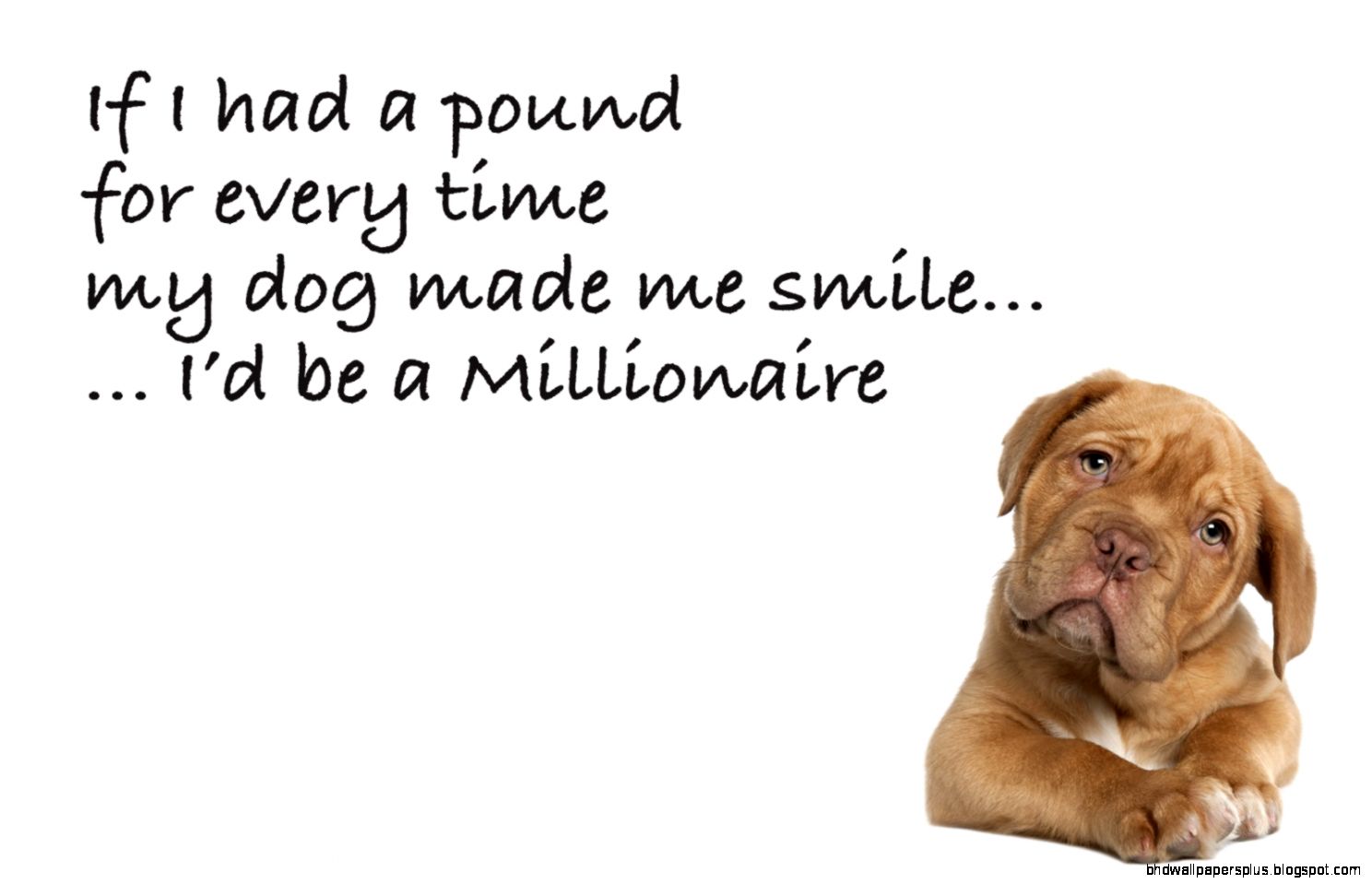 Dog Quotes and Sayings Dog Quotes and Sayings