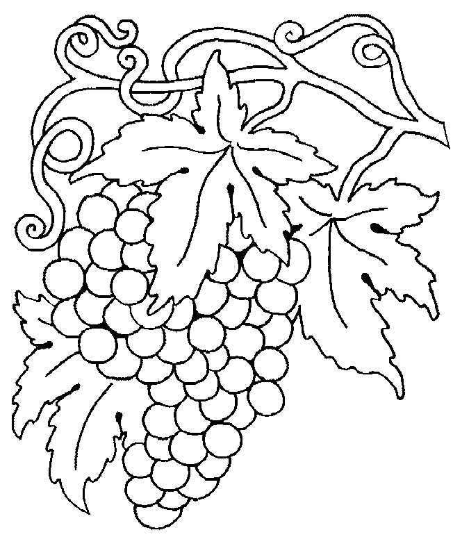 Coloring Pages for Kids: Grapes Coloring Pages for Kids