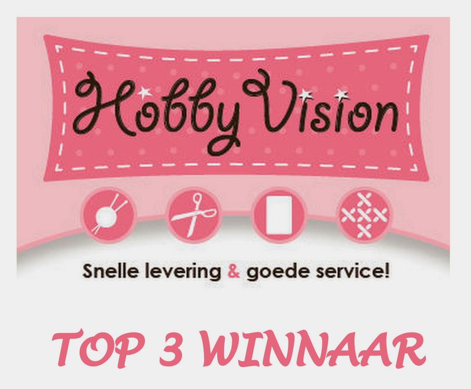 top 3 winnaar Hobbyvision challenge