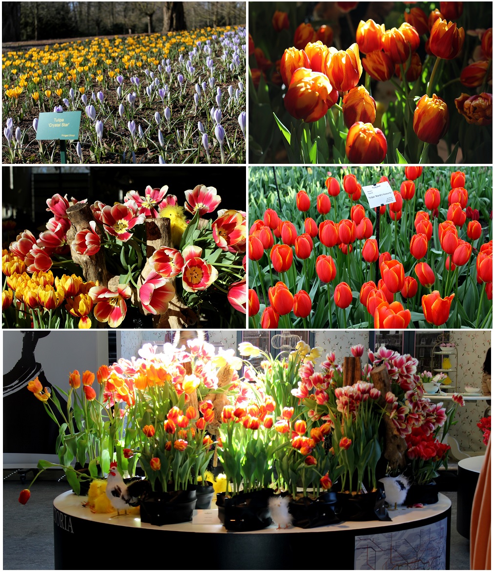 Keukenhof