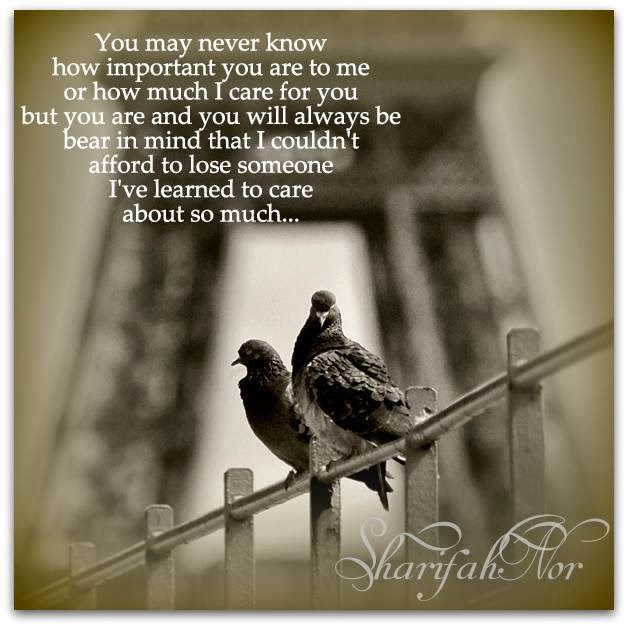 Why love is important in a relationship picture