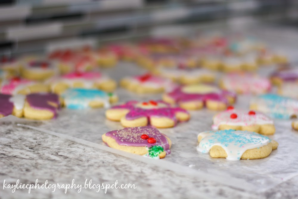 Kaylie Photography High Altitude Sugar Cookies