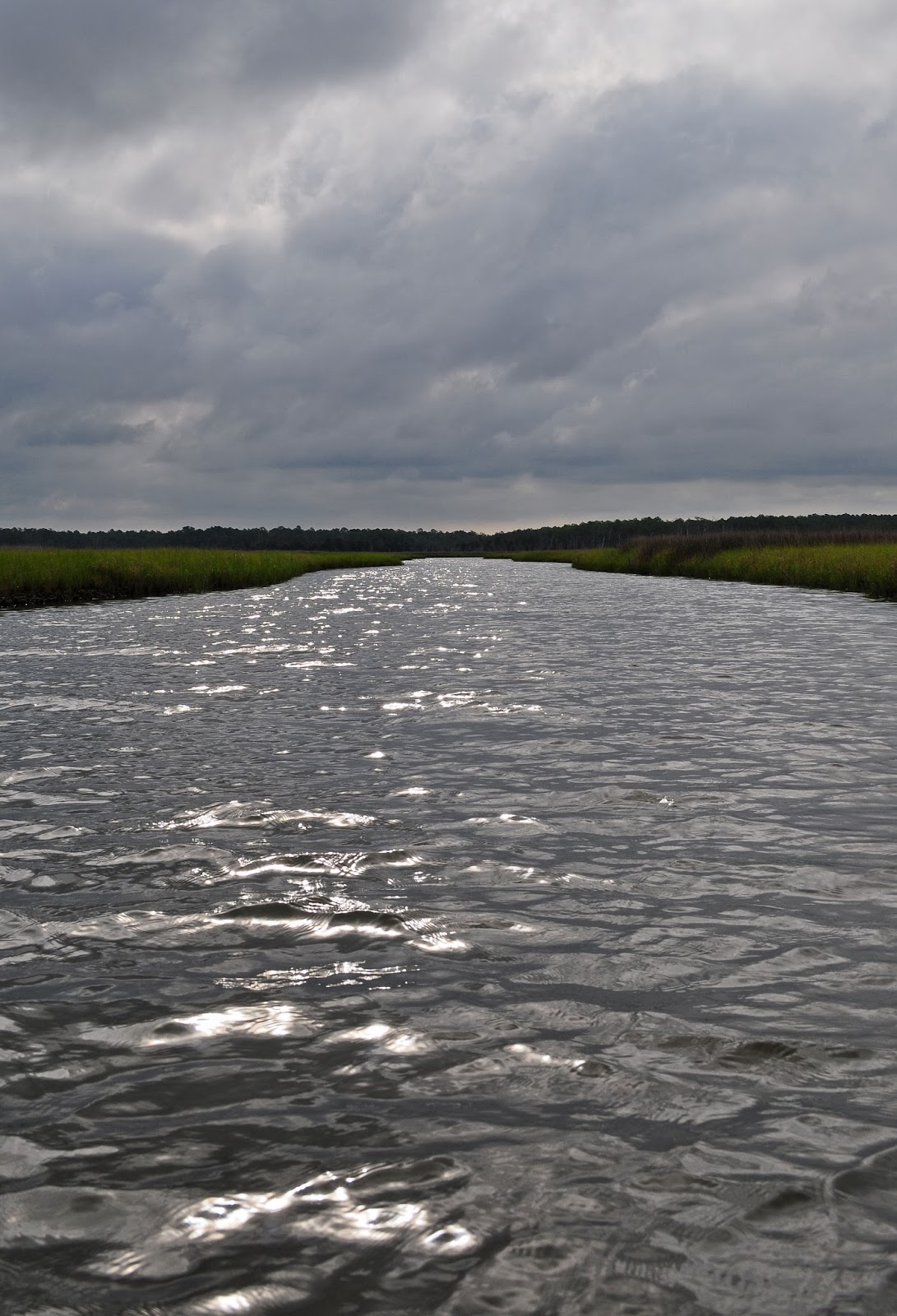 A Tidewater Paddler Onancock Creek and Parkers Marsh 7/21/13