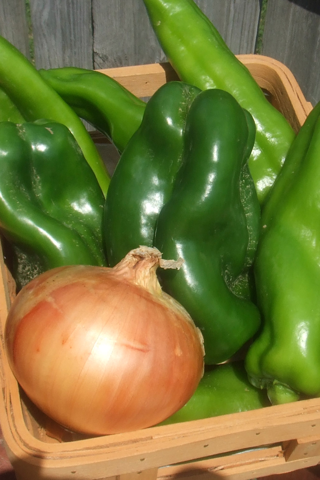 Jalapeno Pepper Relish Rooted in Foods