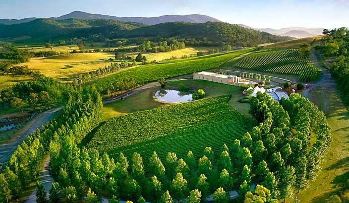 Melbourne City Life: Welcome to Yarra Valley: You'll never want to leave!