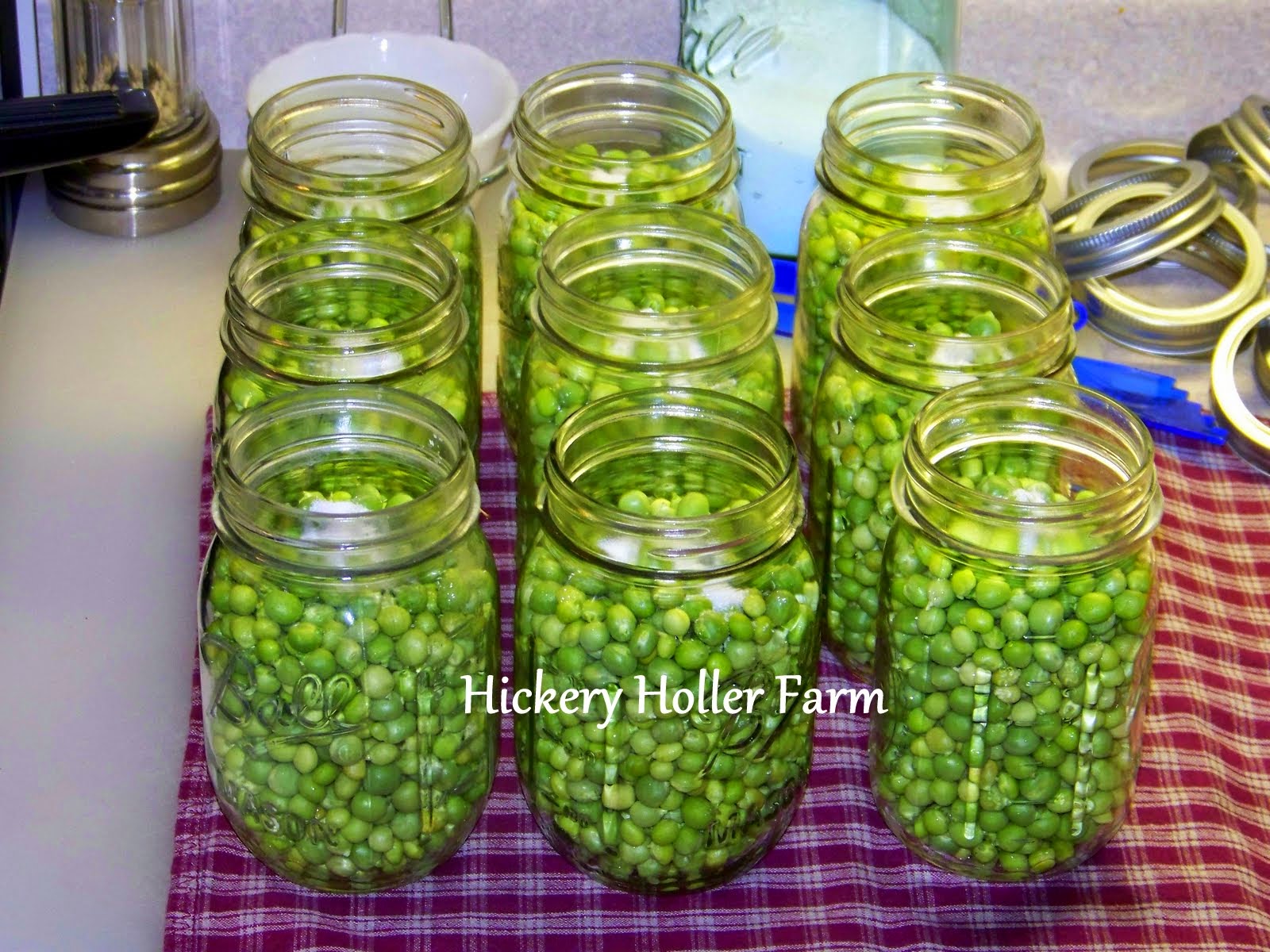 Hickery Holler Farm Canning Green Peas