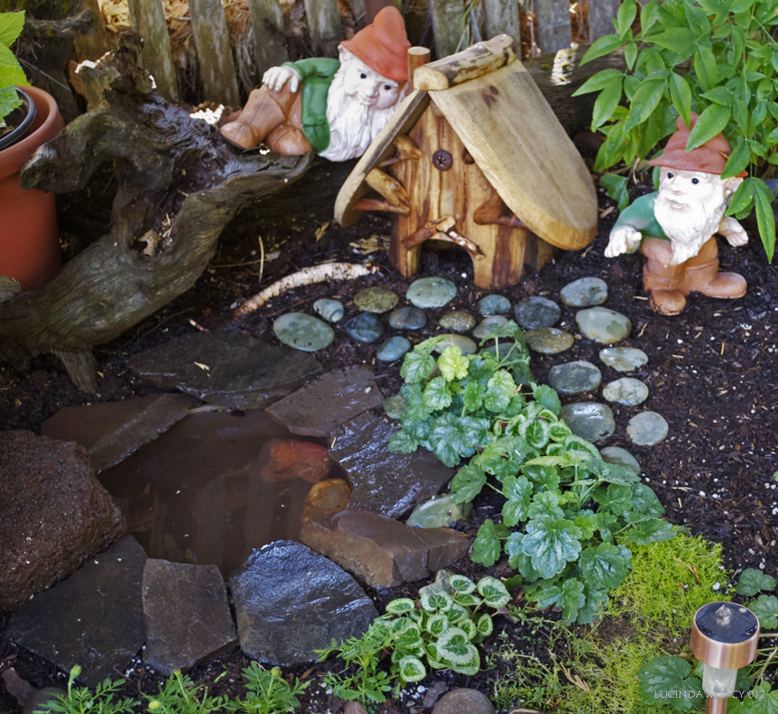 Garden Toad Watch TIME TO THINK ABOUT TOADS AND YOUR GARDEN AGAIN!