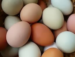 Fresh Eggs vs Factory Eggs