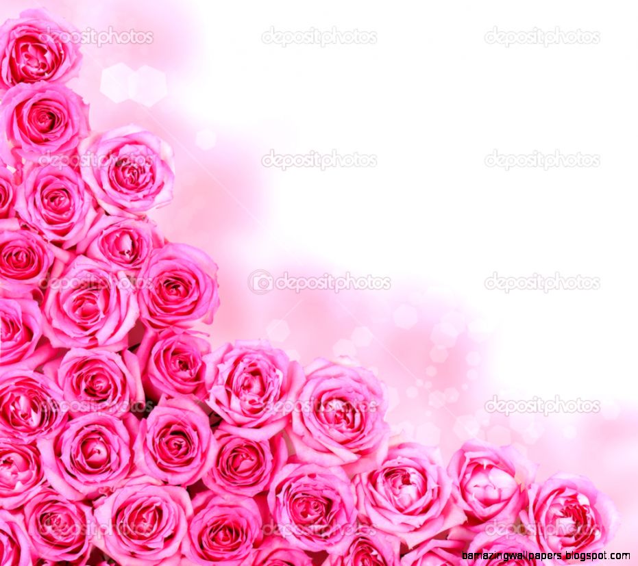 Hot Pink Roses over white background Border — Stock Photo © Guzel Hot Pink Roses over white background Border — Stock Photo © Guzel