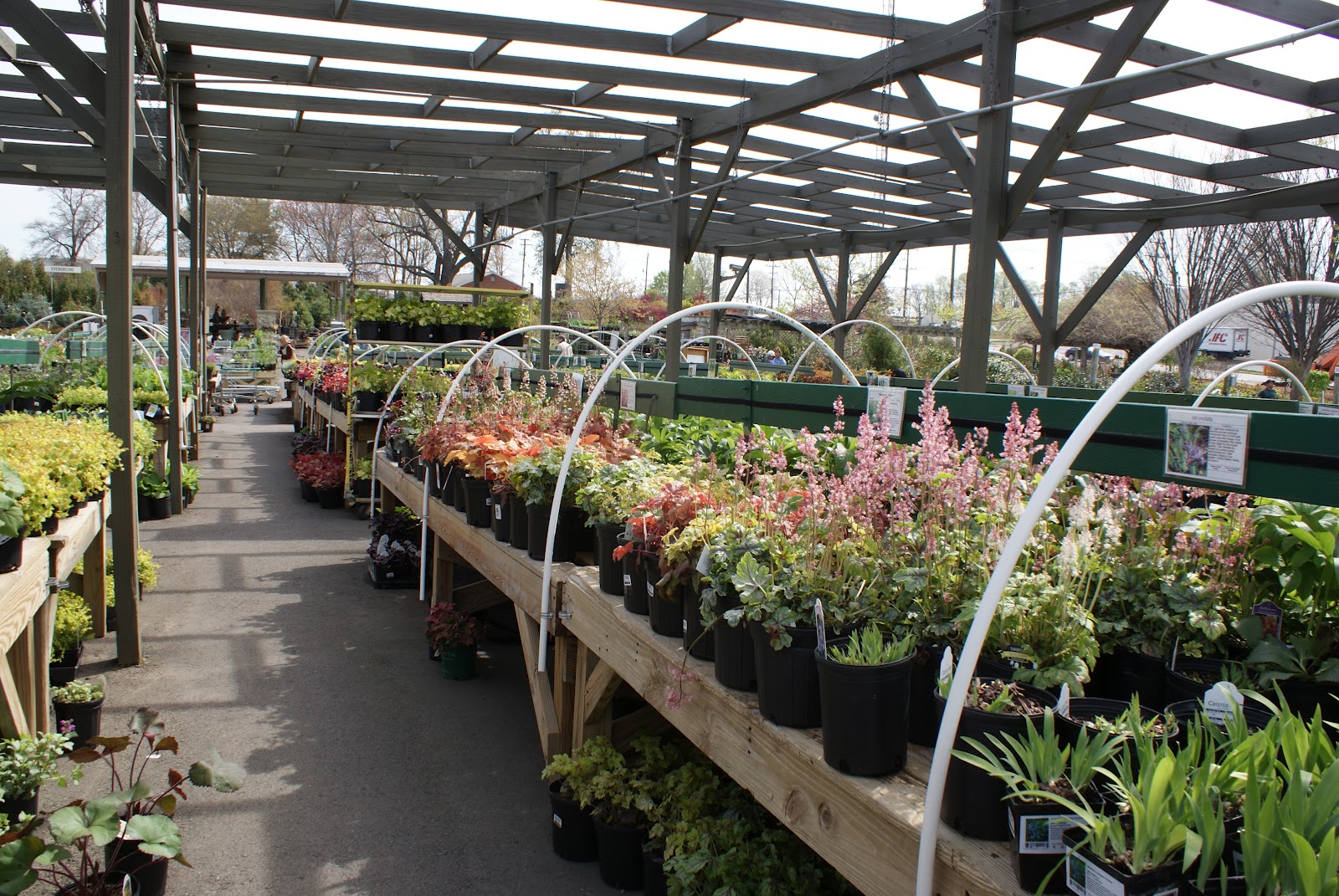 Day By Day Merrifield Garden Center