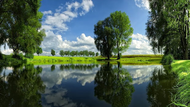 nice water landscape mystery