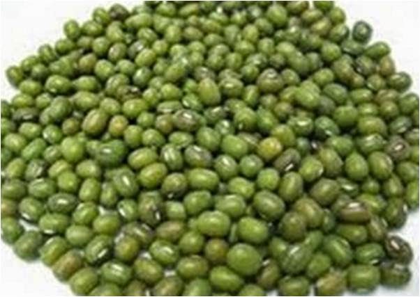 Mung Beans benefits