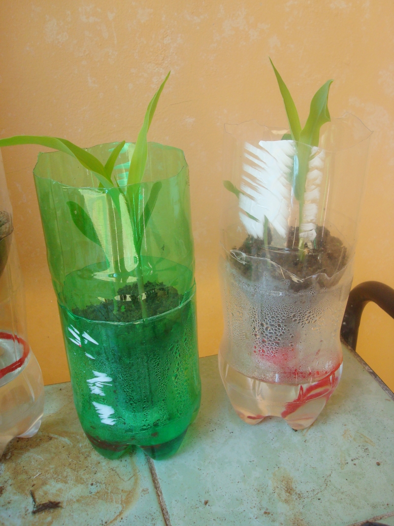 Latitude Adjustment DIY SelfWatering Seed Starter Pots